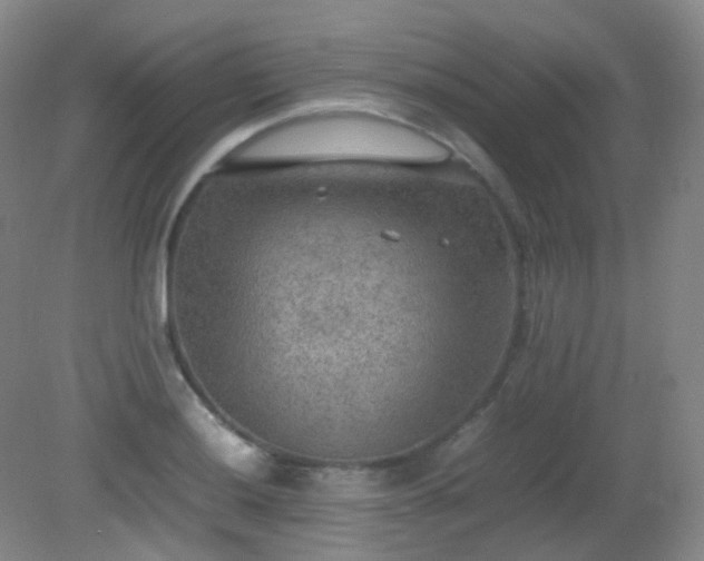 X0000081311036200701181857