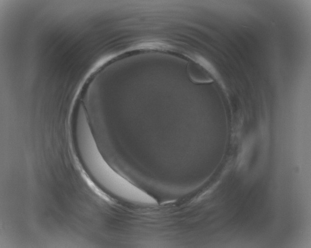 X0000081311037200701181857