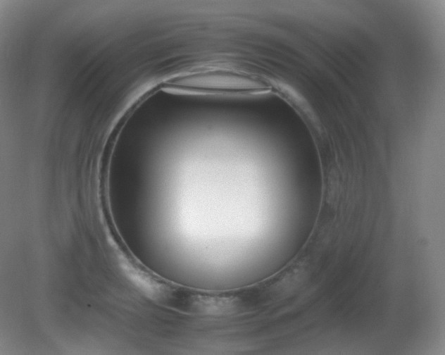 X0000081311039200701181857