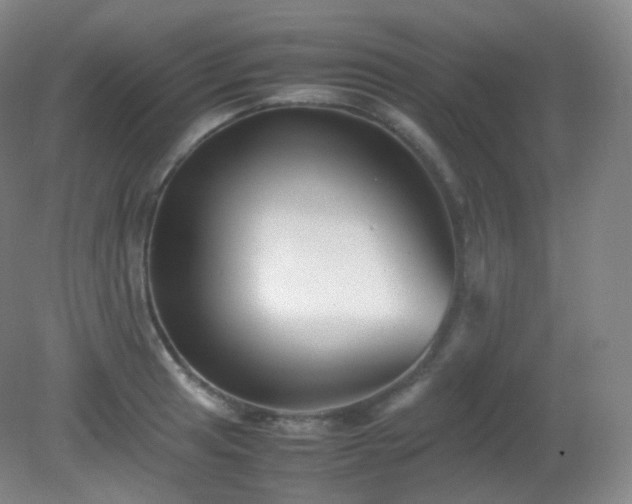 X0000081311041200701181857