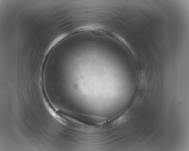 X0000081311042200701181857