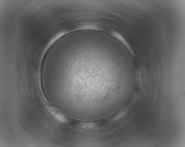 X0000081311043200701181857