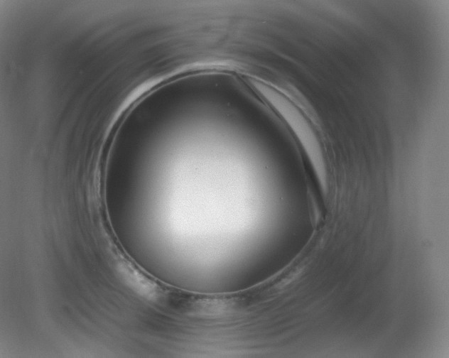 X0000081311044200701181857