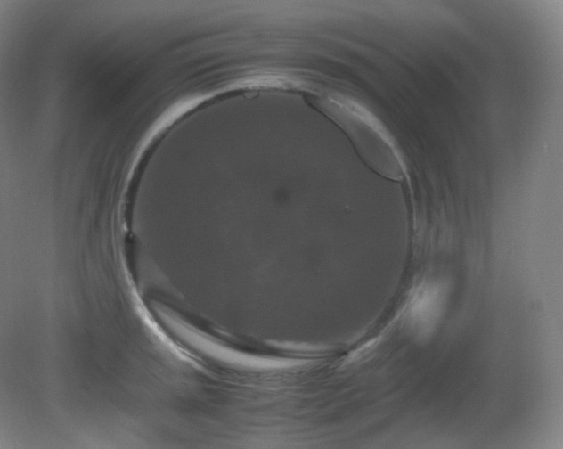 X0000081311045200701181857