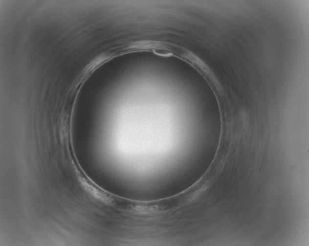 X0000081311049200701181857