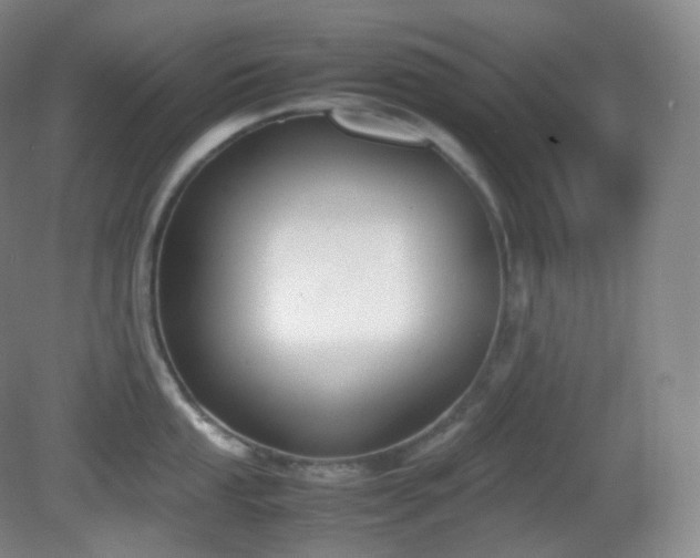 X0000081311053200701181857