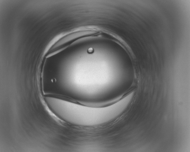 X0000081311054200701181857