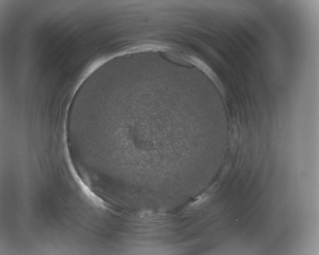 X0000081311055200701181857