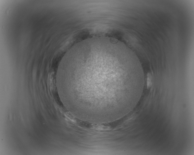 X0000081311059200701181856