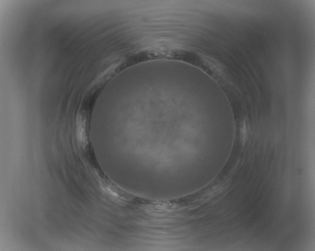 X0000081311060200701181856
