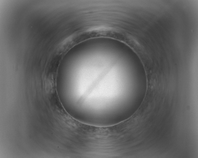 X0000081311062200701181856