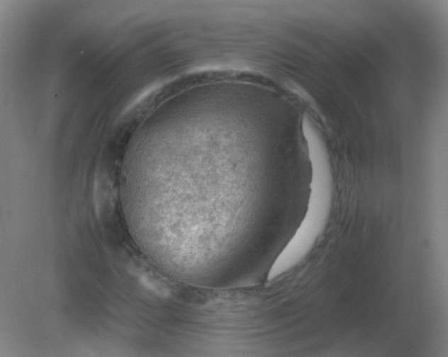 X0000081311064200701181856