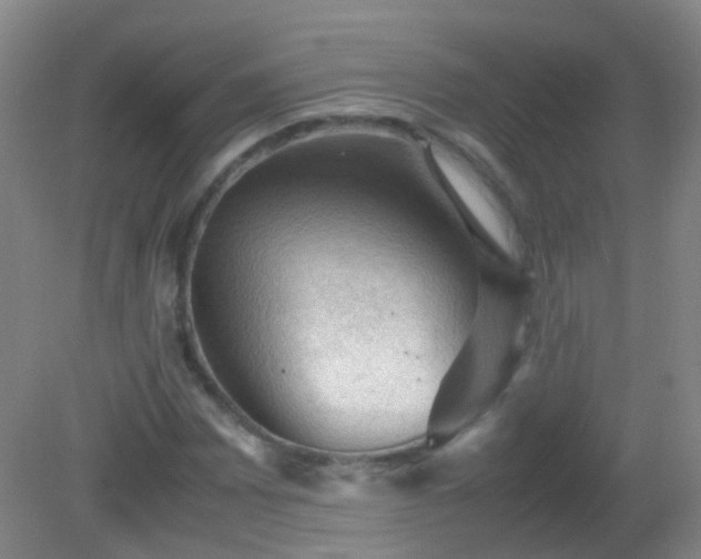X0000081311065200701181856