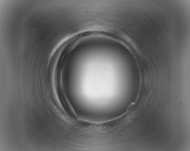 X0000081311069200701181856