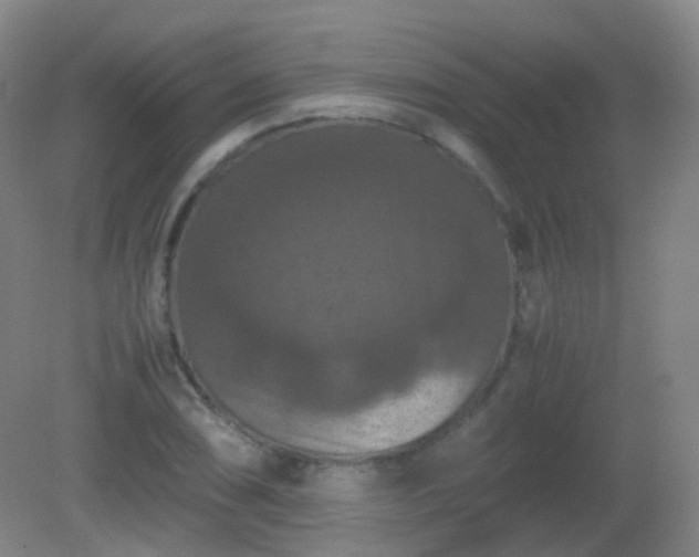 X0000081311074200701181856