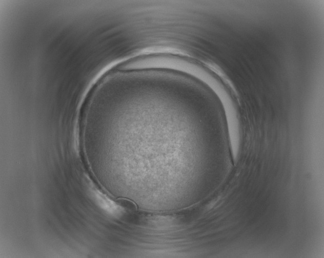 X0000081311076200701181856