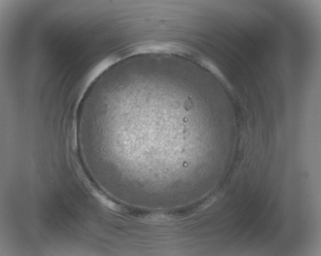 X0000081311079200701181856