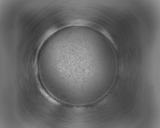 X0000081311080200701181856