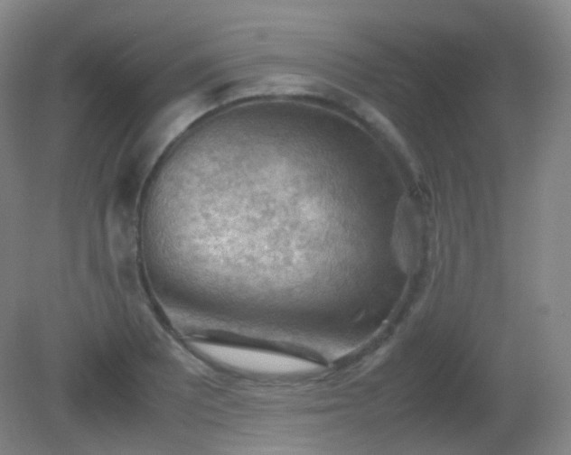 X0000081311081200701181856