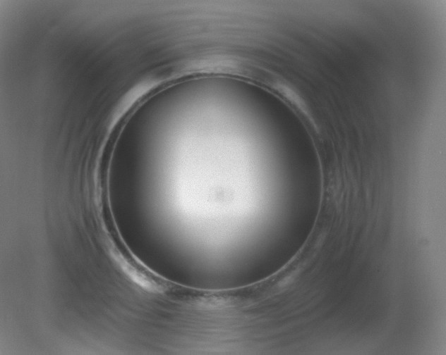 X0000081311082200701181856