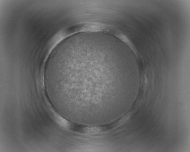X0000081311083200701181856