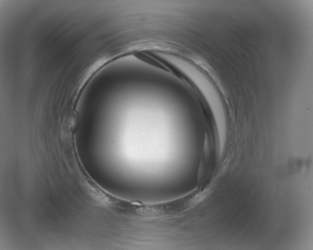 X0000081311089200701181856