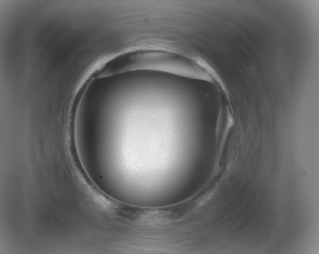 X0000081311093200701181856