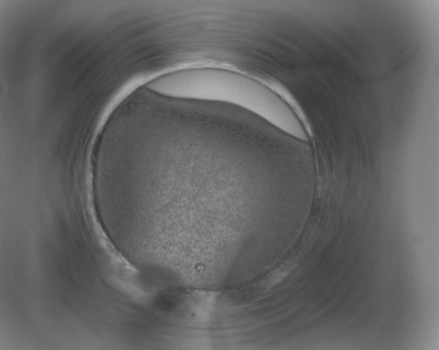 X0000081311096200701181855