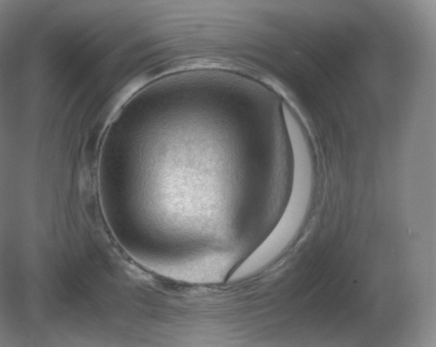 X0000081311097200701181855