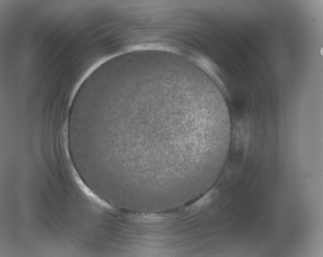 X0000081311100200701181855