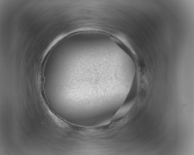 X0000081311101200701181855