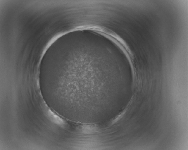 X0000081311102200701181855