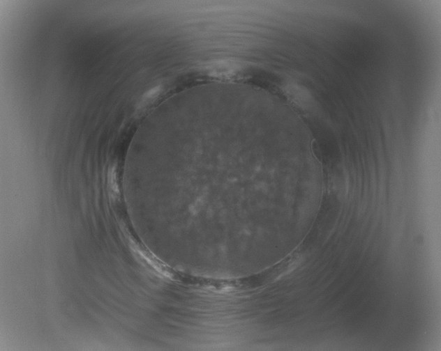 X0000081311106200701181855