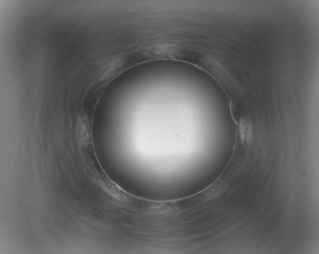 X0000081311107200701181855