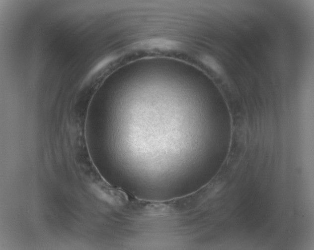 X0000081311112200701181855