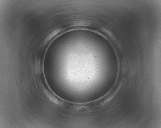 X0000081311113200701181855