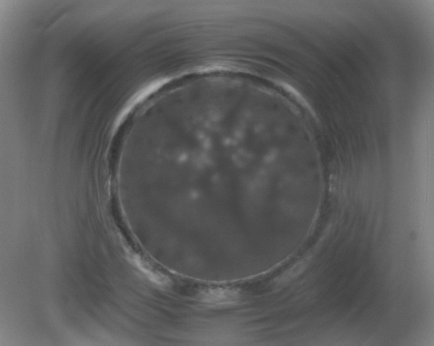 X0000081311117200701181855