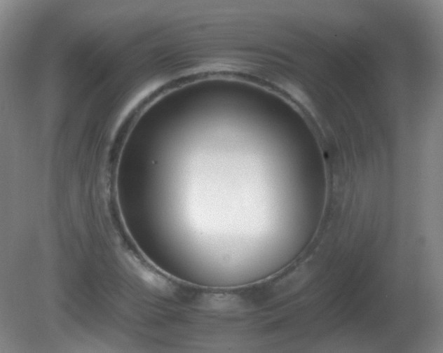 X0000081311119200701181855