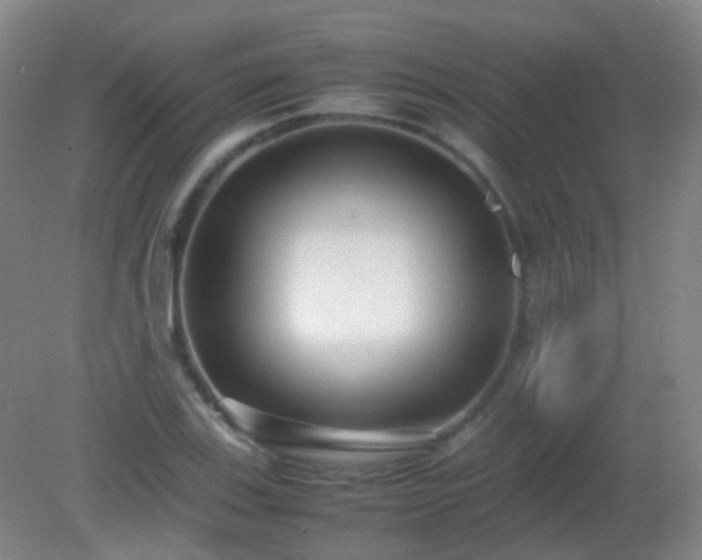 X0000081311123200701181855