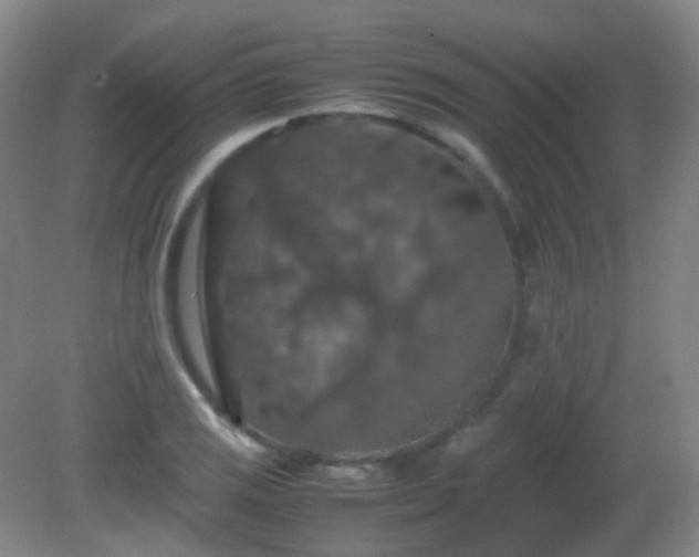 X0000081311125200701181855