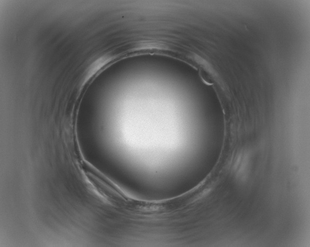 X0000081311129200701181855
