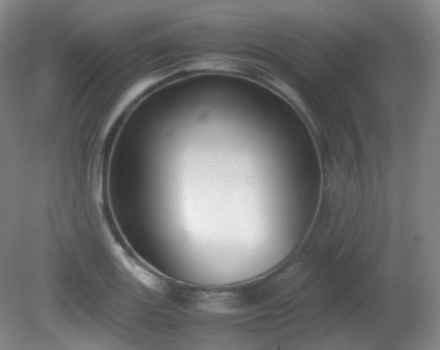 X0000081311131200701181855