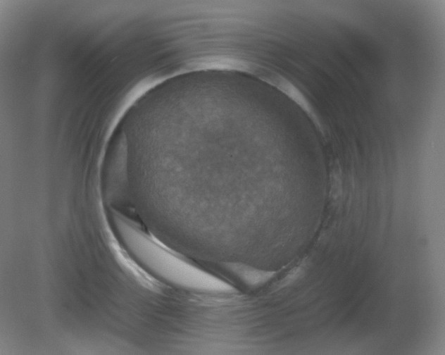 X0000081311132200701181855