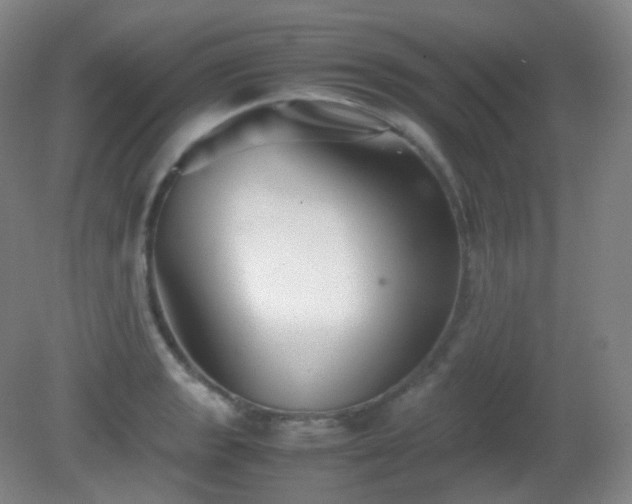 X0000081311133200701181855