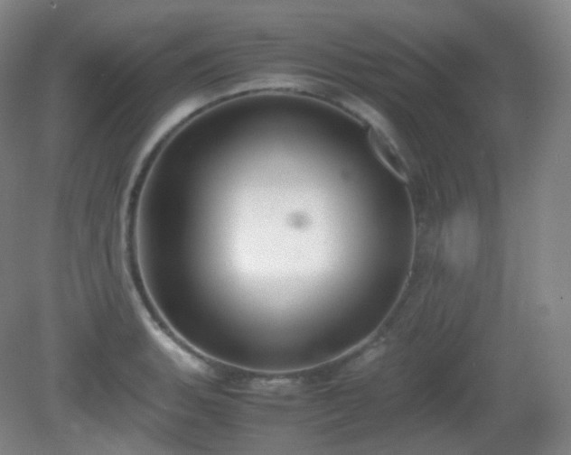 X0000081311135200701181855