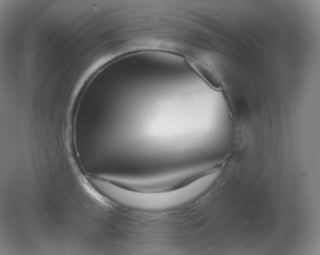 X0000081311136200701181855