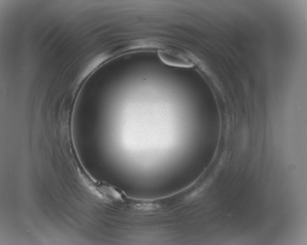 X0000081311137200701181855