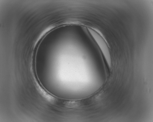 X0000081311139200701181855