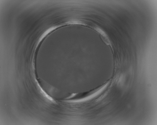 X0000081311141200701181855