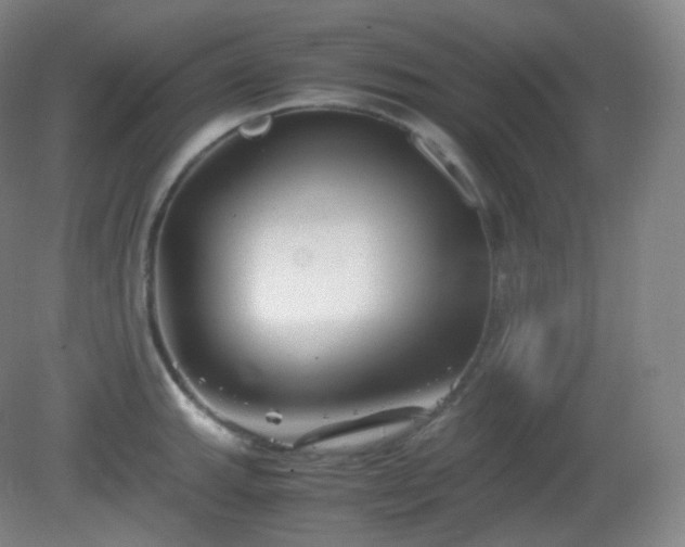 X0000081311143200701181855